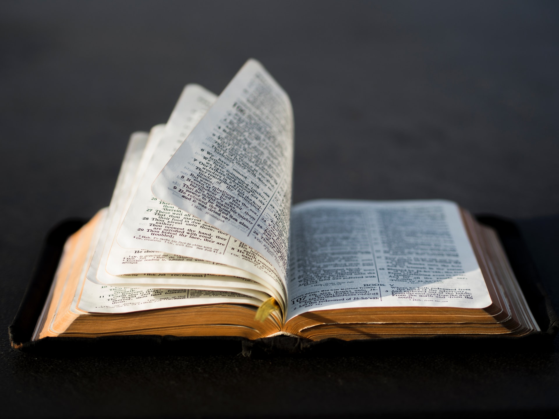 aaron-burden-TNlHf4m4gpI-unsplash open Bible pages